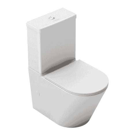 inodoro venecia fossil natura