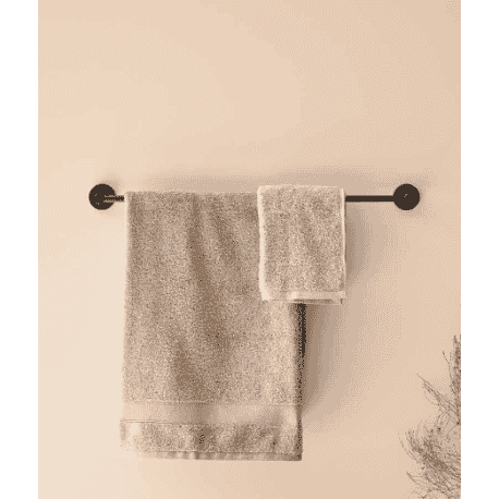 tollero loop sanycces