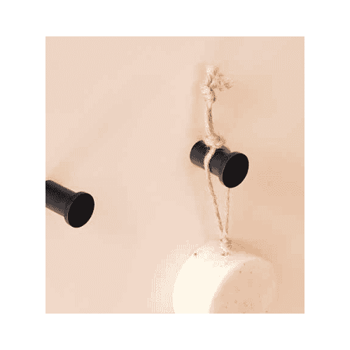 percha loop sanycces