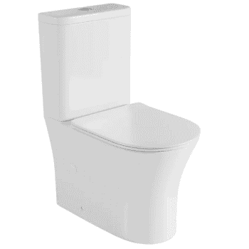 inodoro leto fossil natura