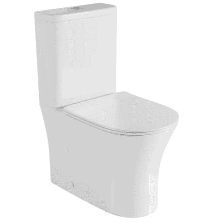 inodoro leto fossil natura