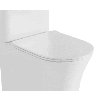 copy of Tapadera Nui Fossil...